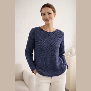 Soft Surroundings Womens Medium Mohair Blend Knit Sweater Blue Metallic Shimmer